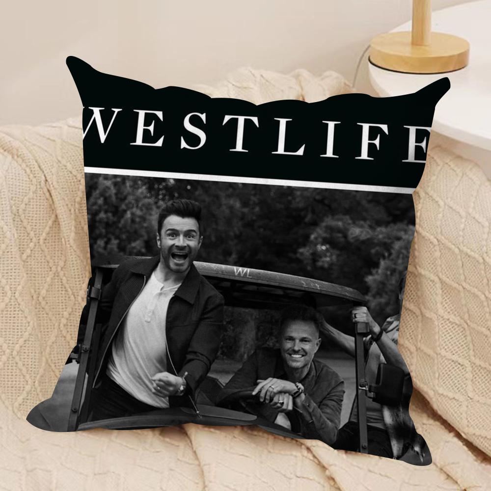 Cool WWestlife Cushion Cover Soft Plush Fabric DoubleSided Printed Sofa Cushion Cover for All Seasons Home Decor Gift