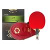 729 Professional Table Tennis Racket