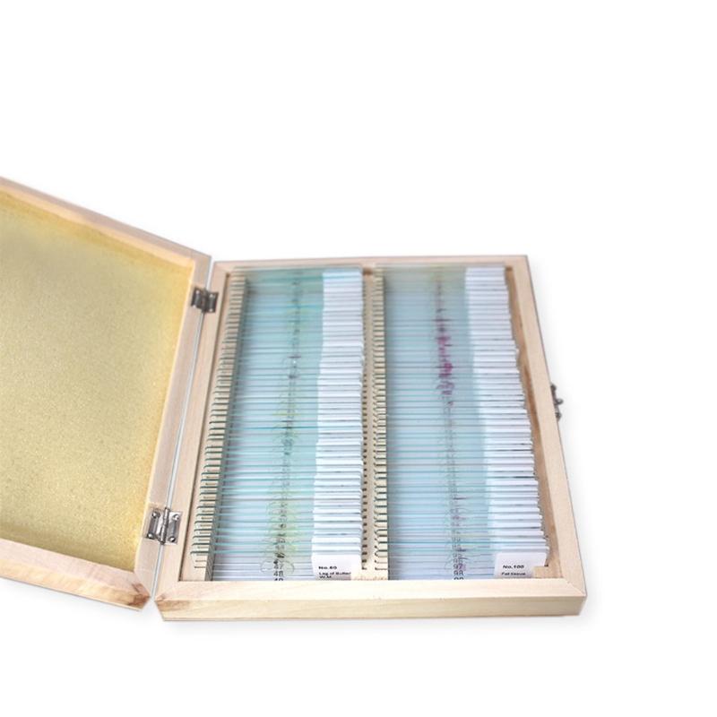 25/50/100 Pcs Prepared Premade Microscope Slides Set Basic Biological Science Education with Wooden for Case