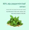 Chorok Chorong Vegan Herb Exfoliating & Sebum Care Jeju Peppermint Toner Pad (280ml+70Pads) (3 Options)