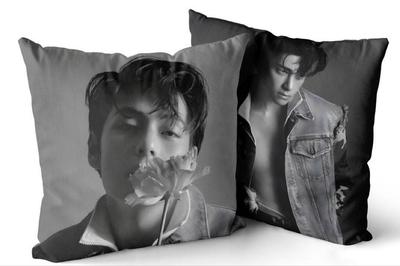 [USED] BTS Cushion Cover ELLE Taehyung V Tae