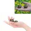 2 Pcs Brass Baoding  s Walnuts Hand Exercise Equipment Portable and Compact