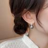 Neue Einfache Inlaid Zirkon Graue Perlenohrringe für Damen Modische Personalisierte Tägliche Accessoires Party Schmuck Geburtstagsgeschenke