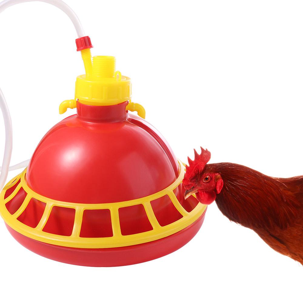 Durable Poultry Water Dispenser Bell Type Fountaion Kettle Farming Equipment Chicken Feeder  Birds
