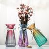 Elegant European Glass Vase for Fresh or Dried Flowers - Creative Home Decor