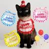 Soft Cat Birthday Scarf Hat Set with Digital Stickers Cat Saliva Towel  Birthday Party