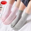 Women's Five-Toe Socks, Summer Thin Style, Ladies' Socks, Pure Cotton, Casual Mid-Calf, Large Mesh, Personalized Toe Socks, 5 Pairs