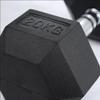 Haojiali Hex Rubber-Coated Dumbbell