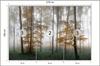 Photomural Forest In Fog Non-Woven 270x180