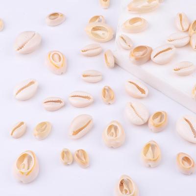 20pcs Natural Color Shell Beads For Home Decoration DIY Earring Bracelet Jewelry Making Accessories
