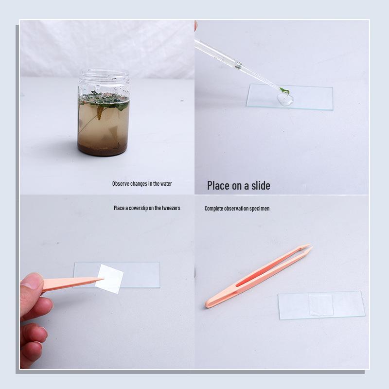 Sujiao 5th Grade Science Experiment Kit: Microscopic Life Forms