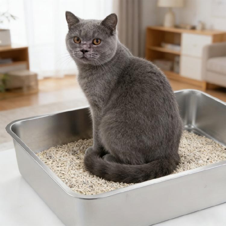 Edelstahl Katzentoilette für ältere Katzen Leicht zu reinigende Katzentoilette Katzentoiletten Große Box