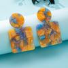 Geometric Women's Trendy Acetate Dangle Earrings