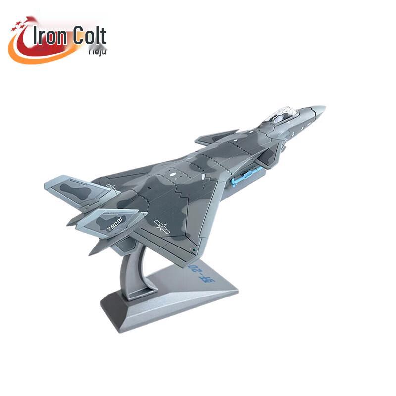 J-20 Stealth Fighter Aircraft Model