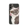 Cat Glasses Cool phone case for iphone 5 5s 2020se 6 6s 7 8 plus x 10 XR XS 11 12 13 mini pro MAX black tpu back cover