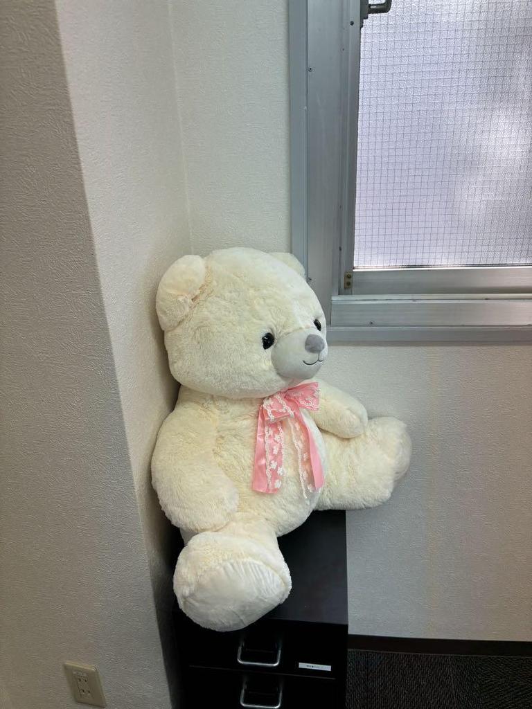 [USED] Large White Teddy Bear