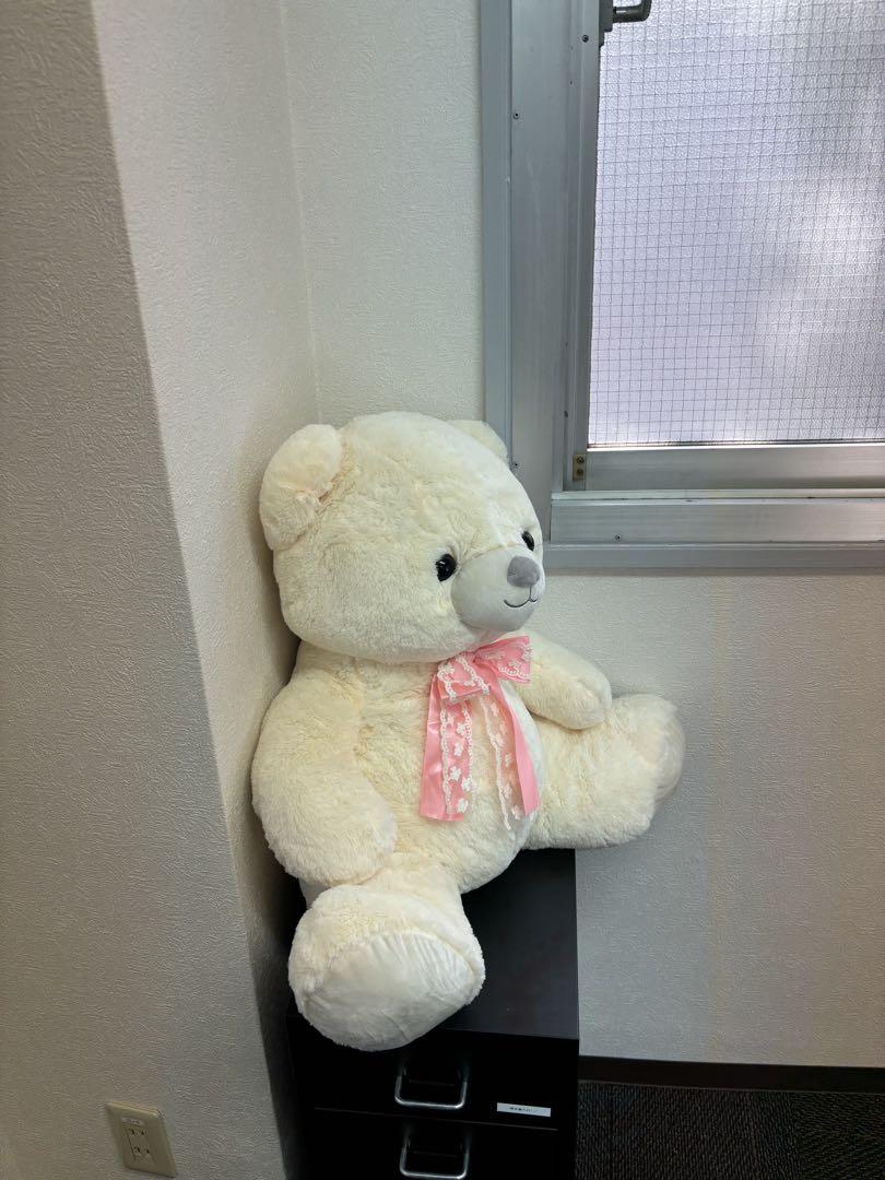 

[USED] Large white teddy bear