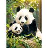 Panda im Wald Puzzle Tiere 500 Teile, beliebtes koreanisches Puzzle