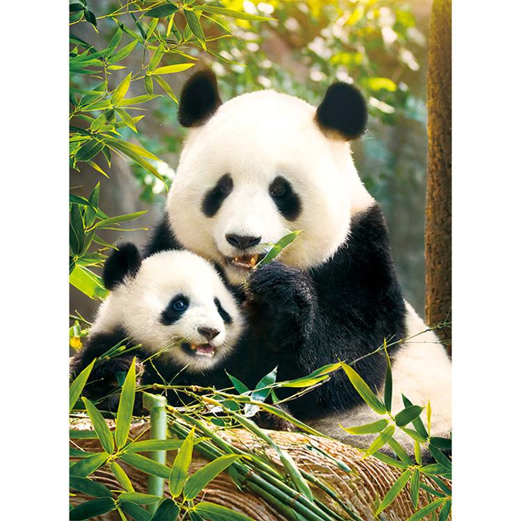 Panda im Wald Puzzle Tiere 500 Teile, beliebtes koreanisches Puzzle