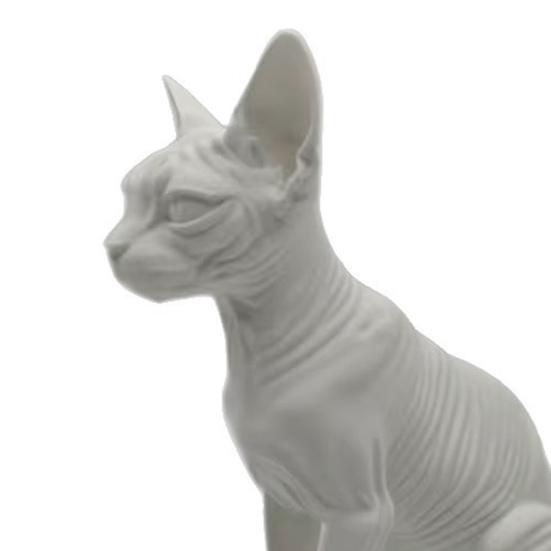 Simuliertes haarloses Automodell, Realistische Sphynx haarloser Katzenfiguren-Sammlung, Wissenschaftliches Lernmittel, Schreibtischverzierung für Zuhause Büro Wohnzimmer