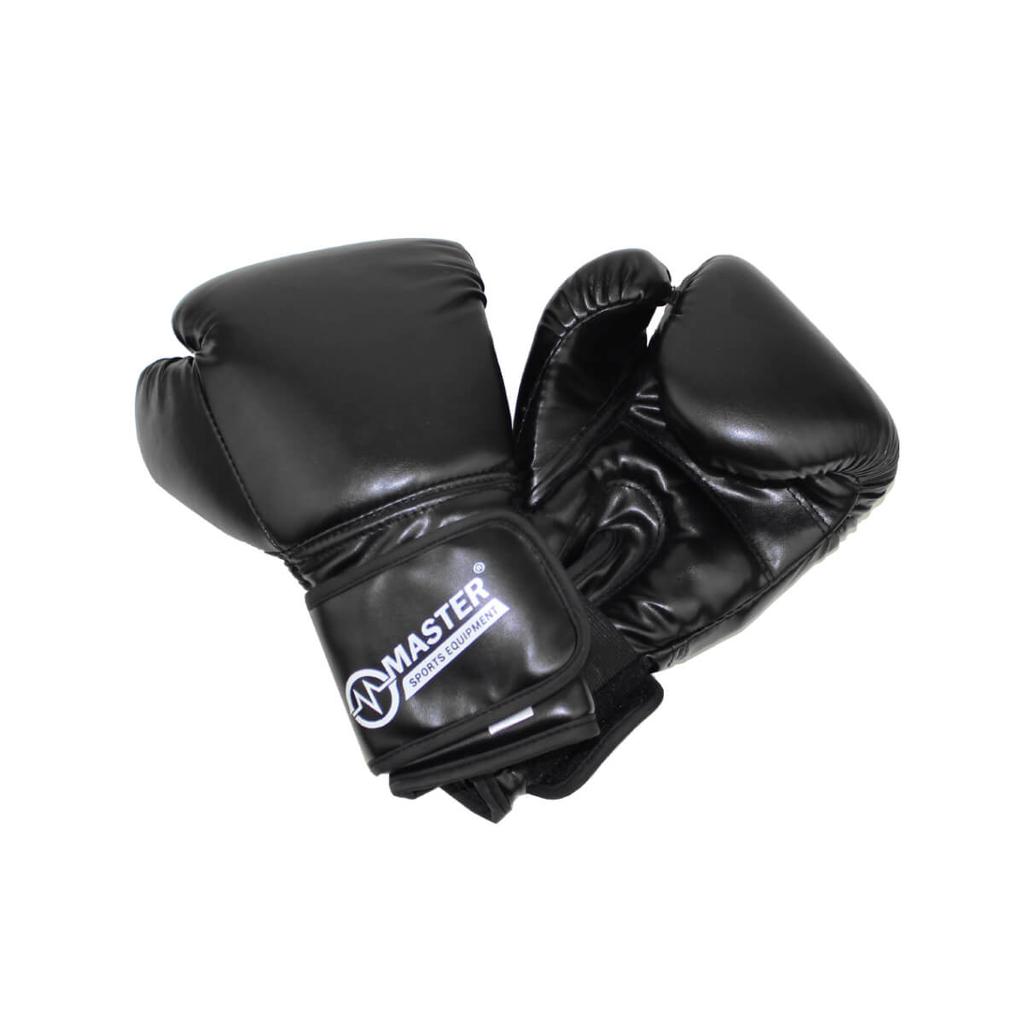 TG10 MASTER 10 OZ Boxing Gloves