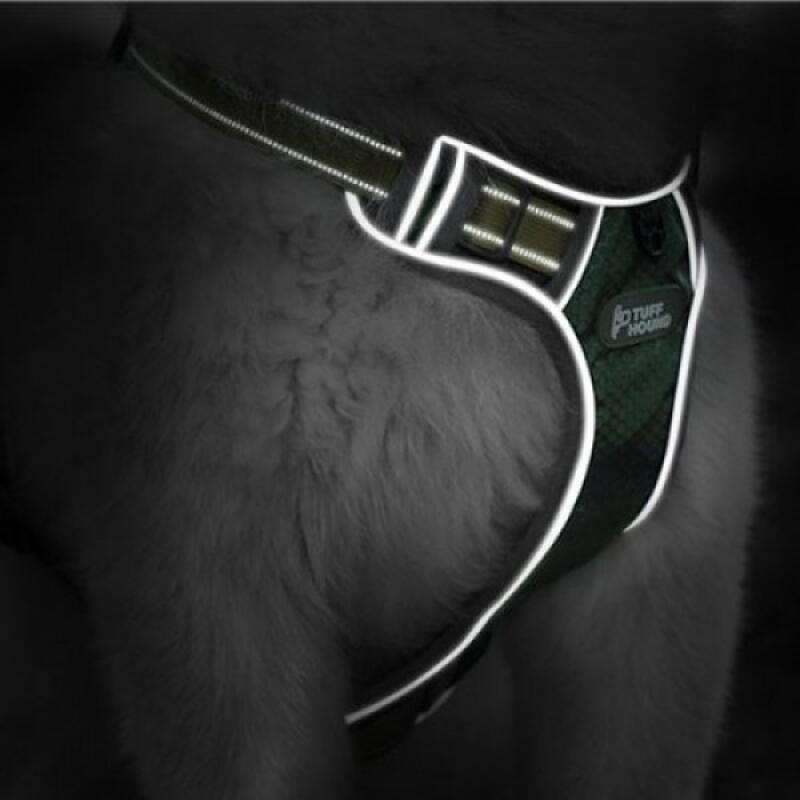 Tough Glow-in-the-Dark Walking Harness M