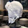 Hat Thick Warm Winter Hats for Men Women Fleece Fur Lined Beanie Hat Male Female Snow Ski Trapper Earflap Cap