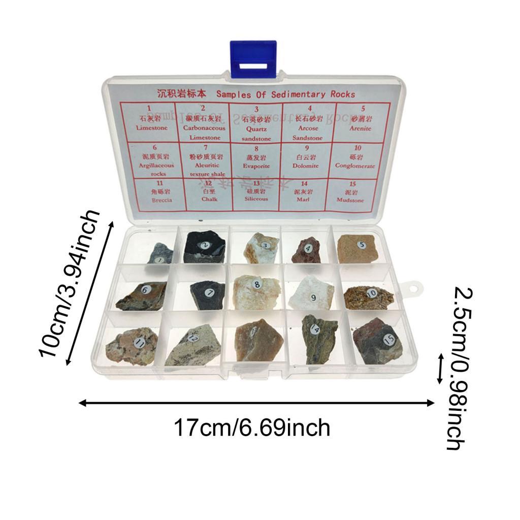 15pcs Sedimentary Rock Real Teaching Aid