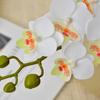 12 Heads Artificial Phalaenopsis Flower Single Branch Flower Arrangement Simulation Butterfly Orchid Moth Orchid DIY