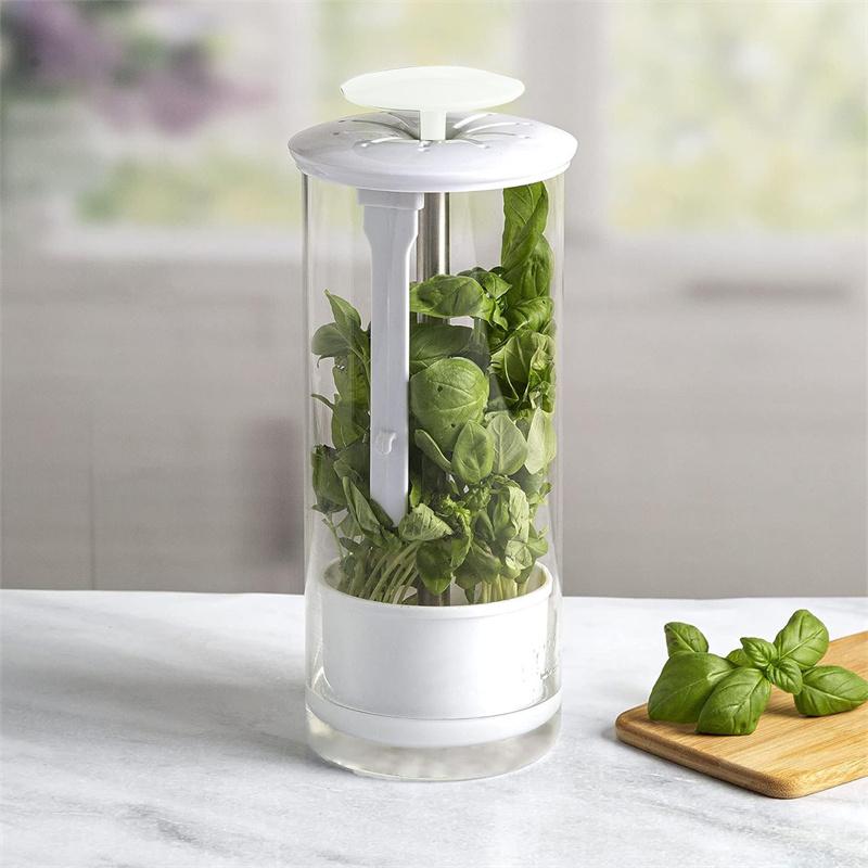 1PC Vegetables Fresh Preservation Bottle For Refrigerator Herb Saver Storage Container Fresh Herb Keeper Vanilla Kitchen Tool