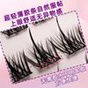 Little Devil Self-Adhesive Natural Cluster Eyelashes - Glue-Free, Segmented Sunflower Design for Women