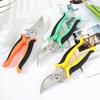 Stainless Steel Gardening Pruning Shears for Branches, Flowers, Fruit Harvesting and Floral Arrangements.