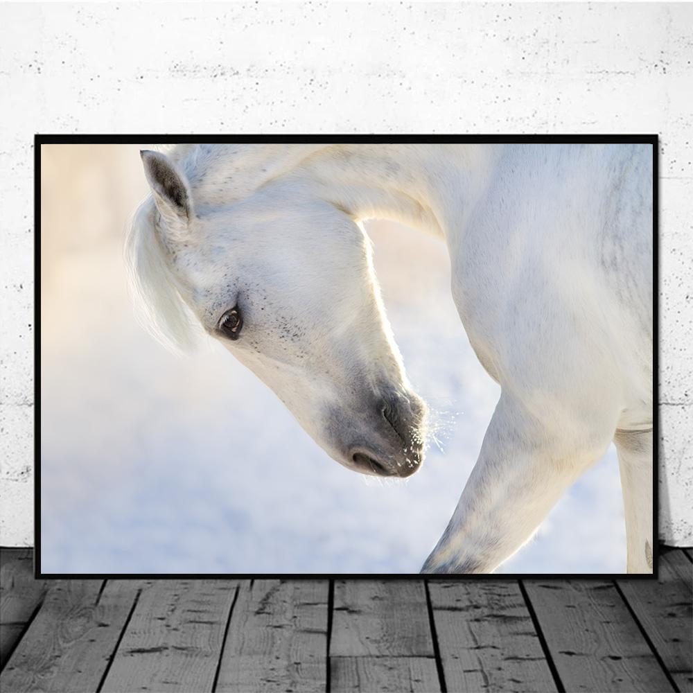 

Постеры с лошадьми для настенного декора, холст с бегущей лошадью, принт, картина, красивые изображения лошадей для украшения современной гостиной дома 20x30cm