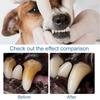 Pet Dental Care Foam Dog Oral Breath Freshener Keep Dog Breath Fresh And Teeth Clean Supports Gum Health Dog Dental Care