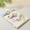 Anti-Slip Pet Sleeping Pad Breathable Dog Bed Pad Pet Ice Mat Pet Rest Cushion  Kennel