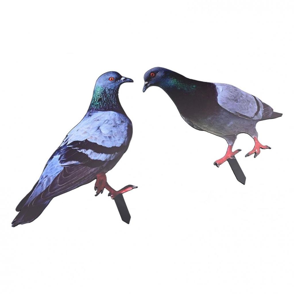 Garden Pigeon Outdoor Space Package Content Statue