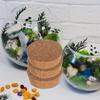 6Pcs Flower Vase Cork Lids Hydroponic Planter Glass Jar Lid Replacement 64.5x20x58mm Plant Terrarium Stopper