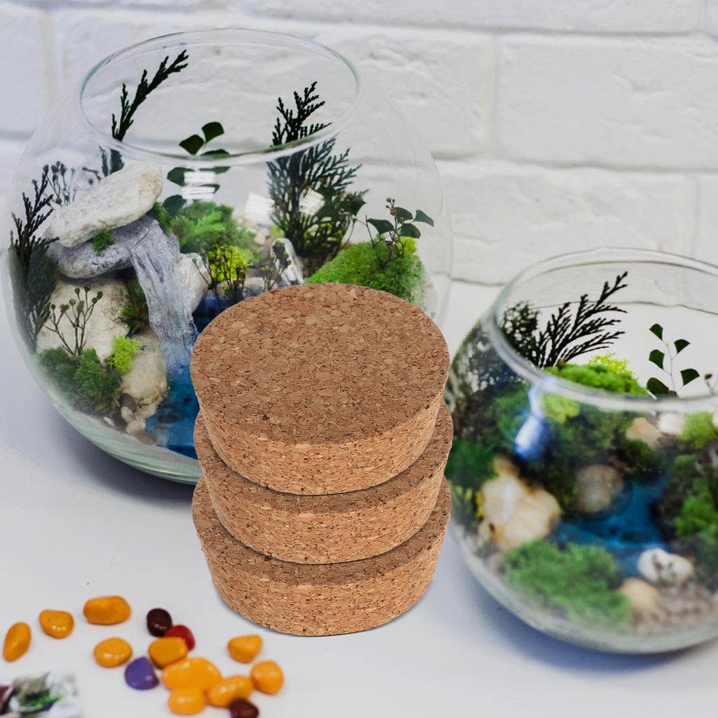 6Pcs Flower Vase Cork Lids Hydroponic Planter Glass Jar Lid Replacement 64.5x20x58mm Plant Terrarium Stopper
