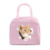 Funny 3D Cats Portable Lunch Bag Durable Office Women Men Thermal Box Cartoon Lunch Handbags Cooler Insulated Food Lunch Bags