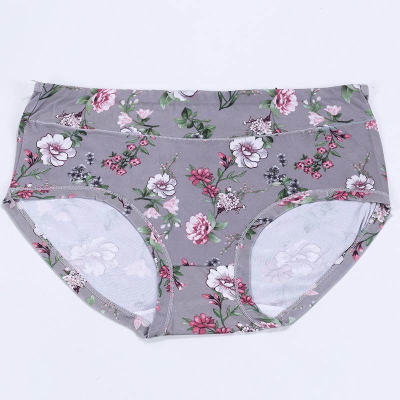 Women's Underwear Panties for Women Ladies Briefs for Everyday Wear