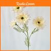 African Gerbera Jamesonii Bolus Wedding Decor For Home And Event Use