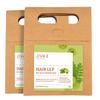 Jiva Hair Lep Ayurvedic Hair Powder for Dry & Oily Hair, 100 G X Pack of 2, Natural Nourishment & Anti-Hairfall Care