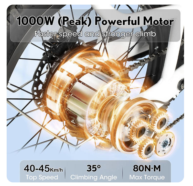 PHILODO Bici da carico elettrica da trasporto 750W motore 48V 17.5Ah doppia batteria pneumatici 20x3 pollici freni a disco idraulici anteriori e posteriori
