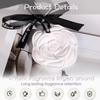 1/3/5/8/10PCS Camellia Gypsum Aromatherapy Wardrobe Car Drawer Home Decoration Gift Aromatherapy Hanging Sheet Home Fragrance