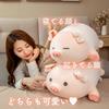 Hyack Pig Plush Toy, Pig Cushion, Animal Pig Toy, Cute Pig Stuffed Animal Cushion [Used]