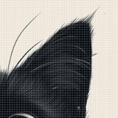 Cat Printed Cross Stitch Kit 60x40cm DIY 11CT Embroidery Craft Set Home Decor