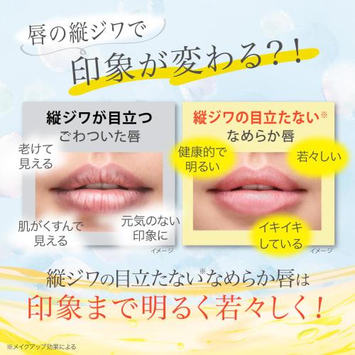 Quasi-drug Medicated Lip Balm Highly Moisturizing Cracked Skin (no Fragrance, No Coloring, No Menthol) 3g [Meiko Cosmetics]