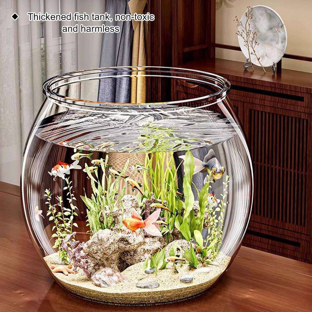 Hydroponic Plant Ecological Tank Transparent Round Ornamental Fish Tank Clear Small Fish Tank Goldfish Bowl Home Desk Decoration