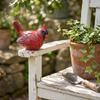 Outdoor Resin Bird Statue Garden Decoration Small Detailed Bird Figurine for Yard Patio Lawn Home Accent
