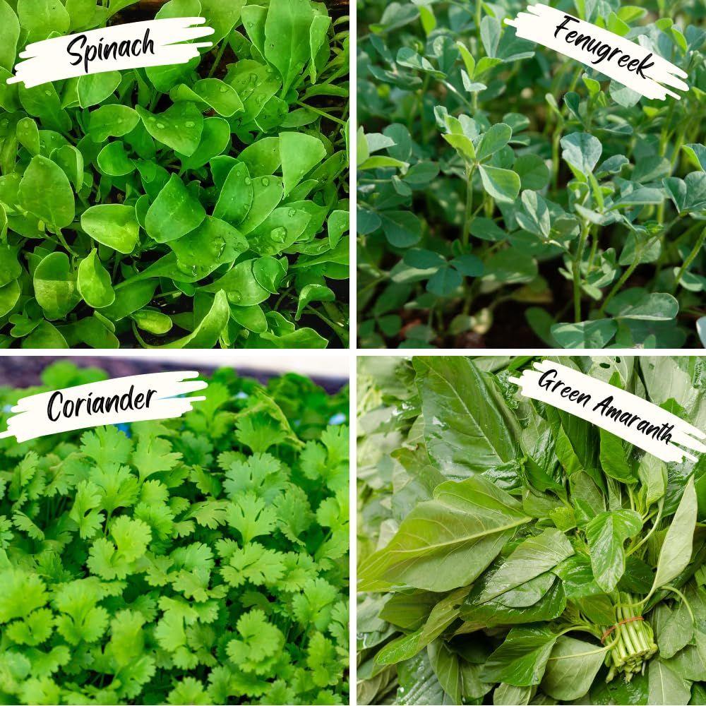 Geo Rectangle Grow Bag with Supporting PVC Pipes for Home Garden | Geo Fabric 450 GSM (Pack of 1)